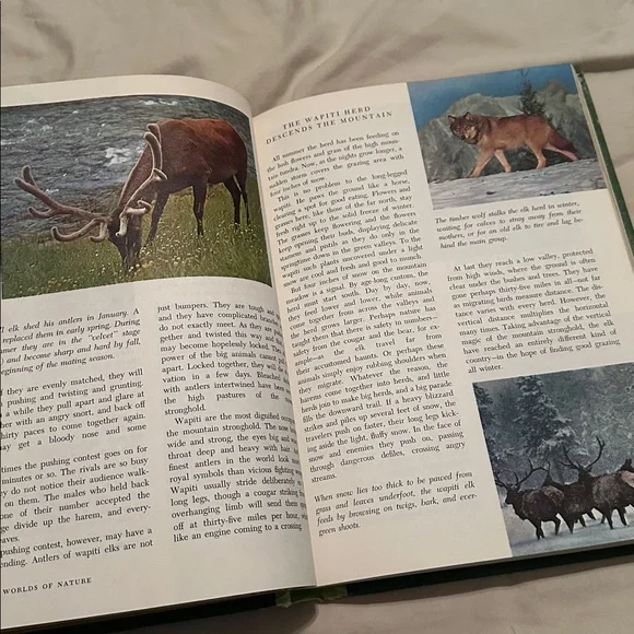 Disney *Vintage* 1965 The Wonderful Worlds of Walt Disney Four-Volume Boxed Set - Picture 11 of 16